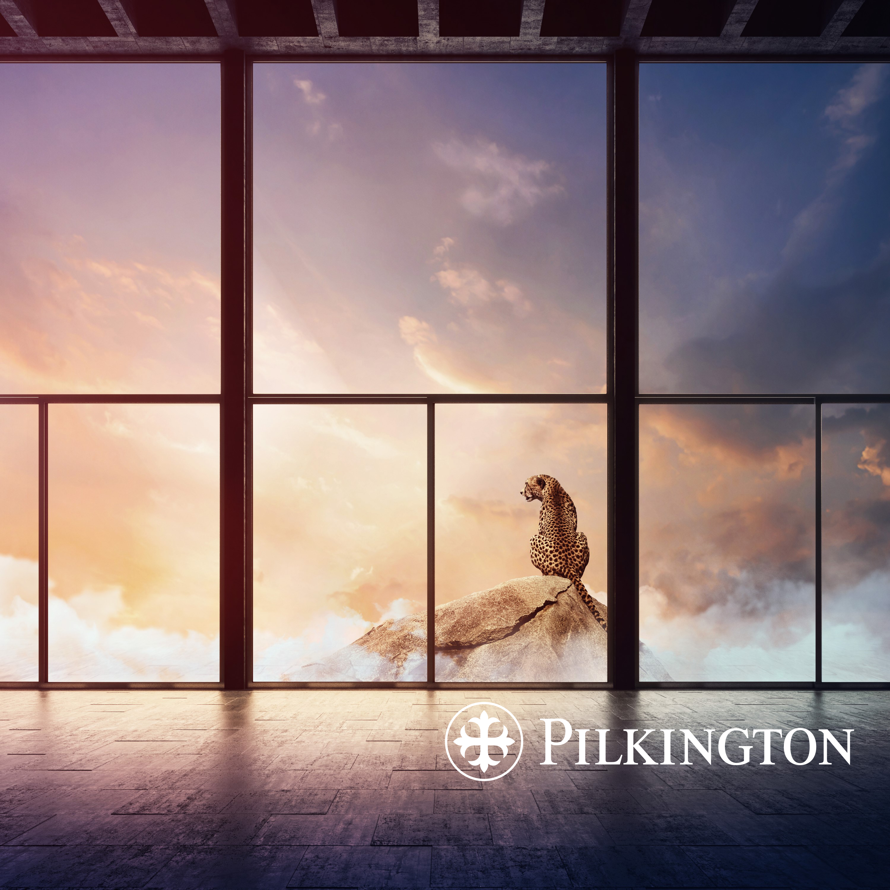 Pilkington Mirai